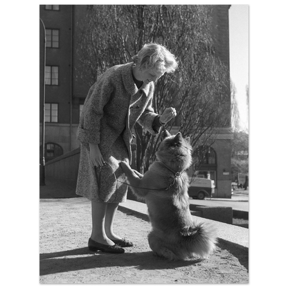 82f830be-9062-4084-8735-e65dd859cd6b