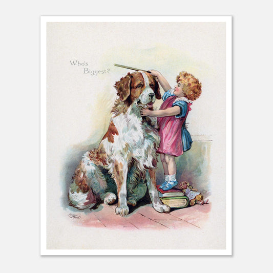 Poster posters affisch affischer retro vintage sankt bernhard barn 