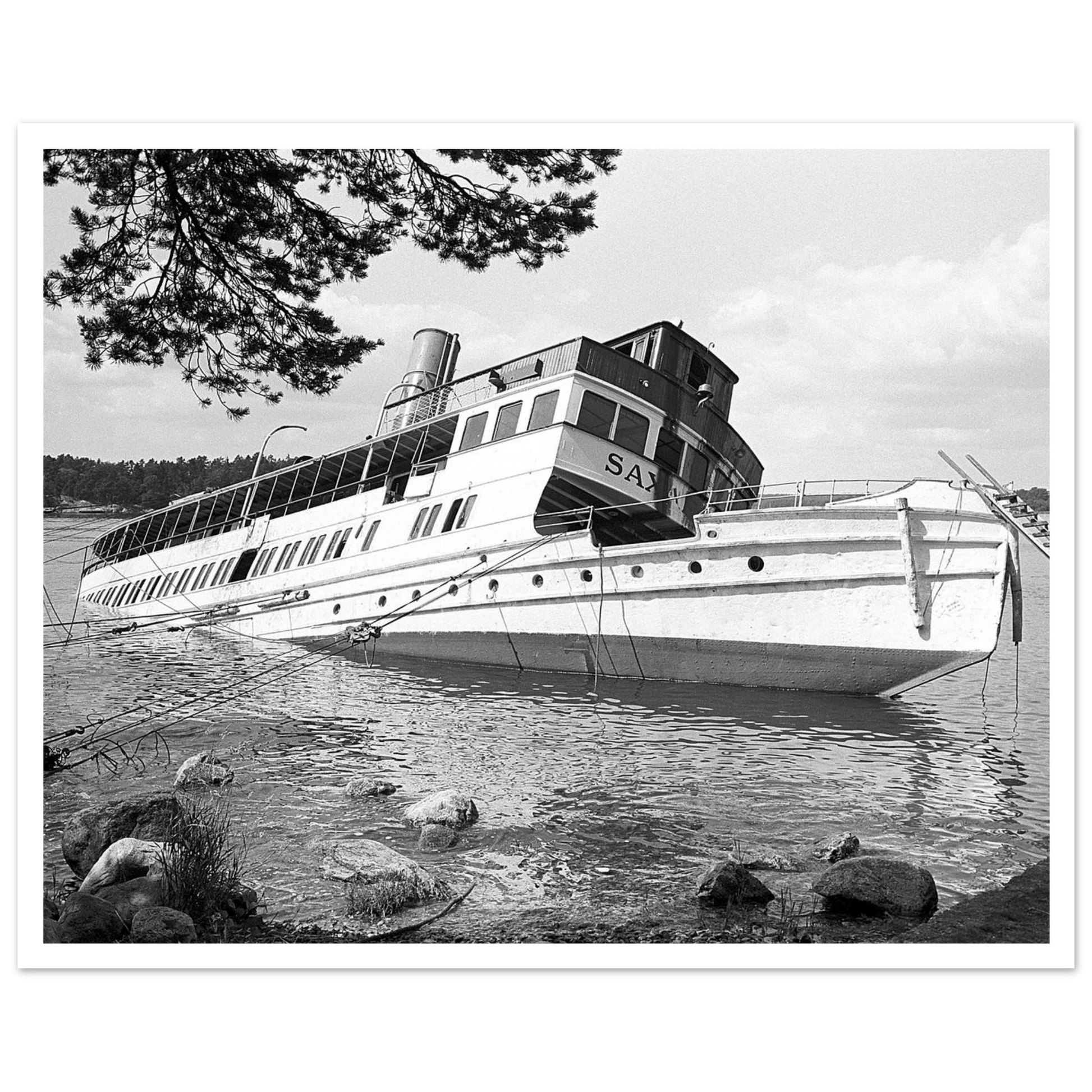 87eb3e74-d0a0-4589-b7d1-96ba9e8ff466