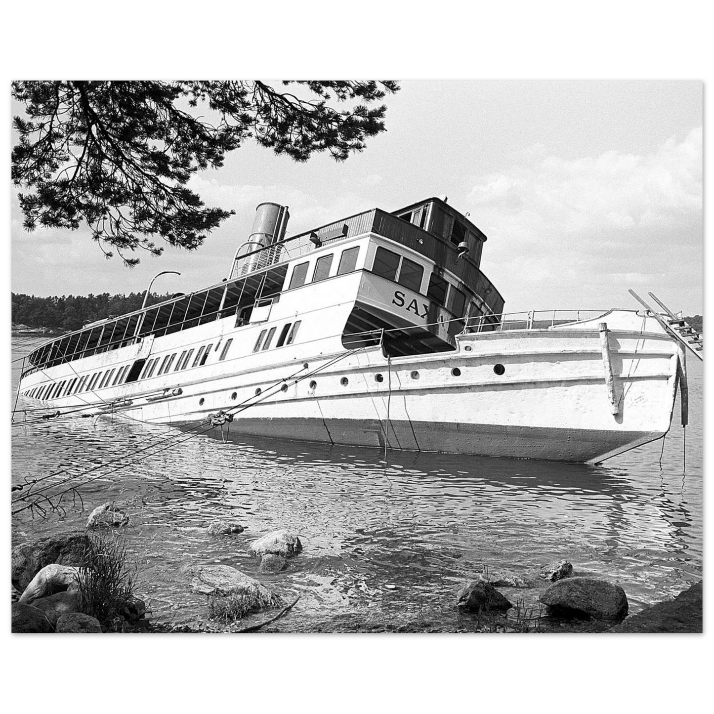 8a0f41d4-29da-40f6-991d-8a1da5f0eb85