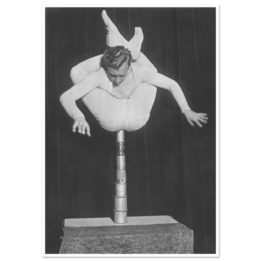 poster posters vintage tavla tavlor vintagebilder gamla bilder humor 