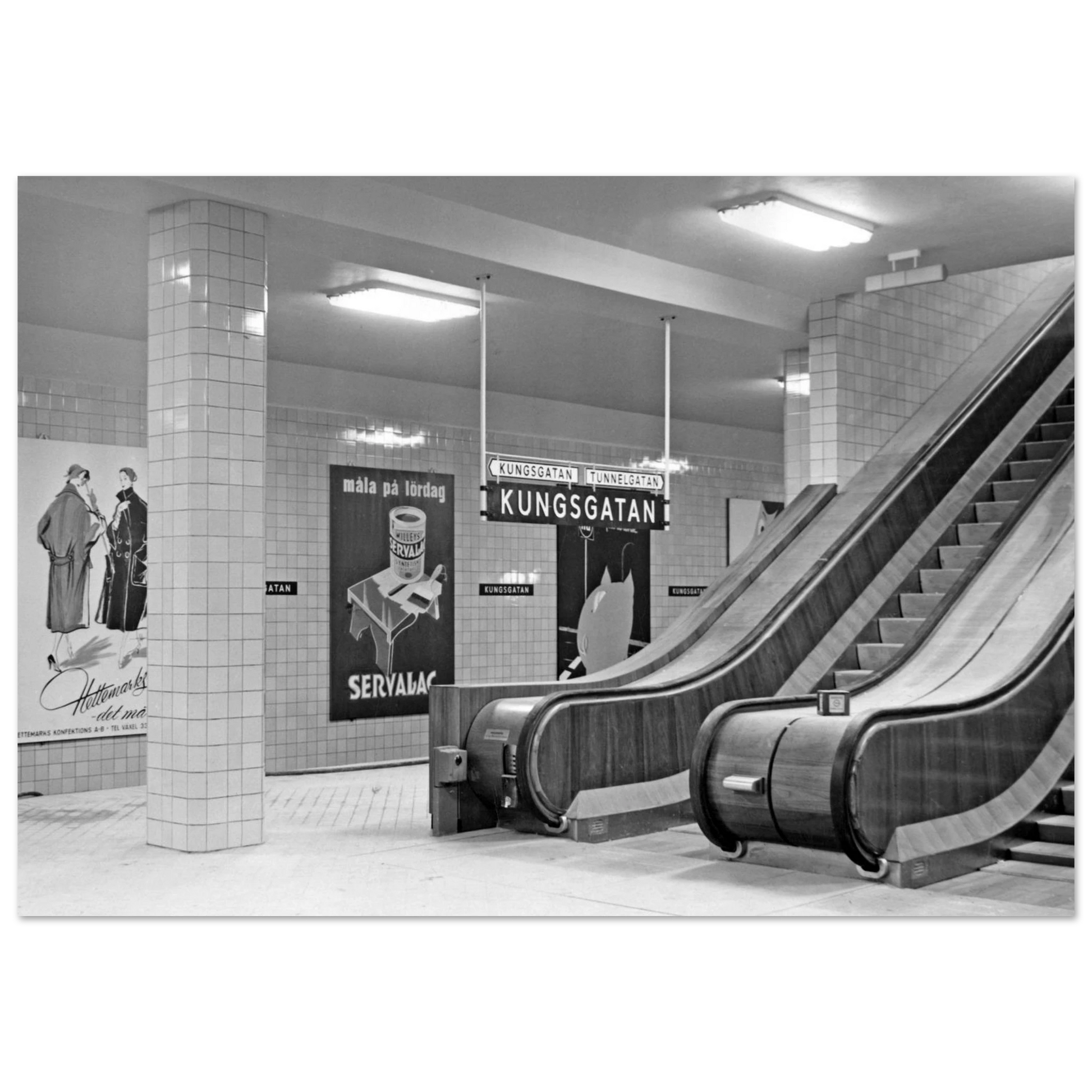 8d09541b-2568-4e23-aab4-51edcc635597