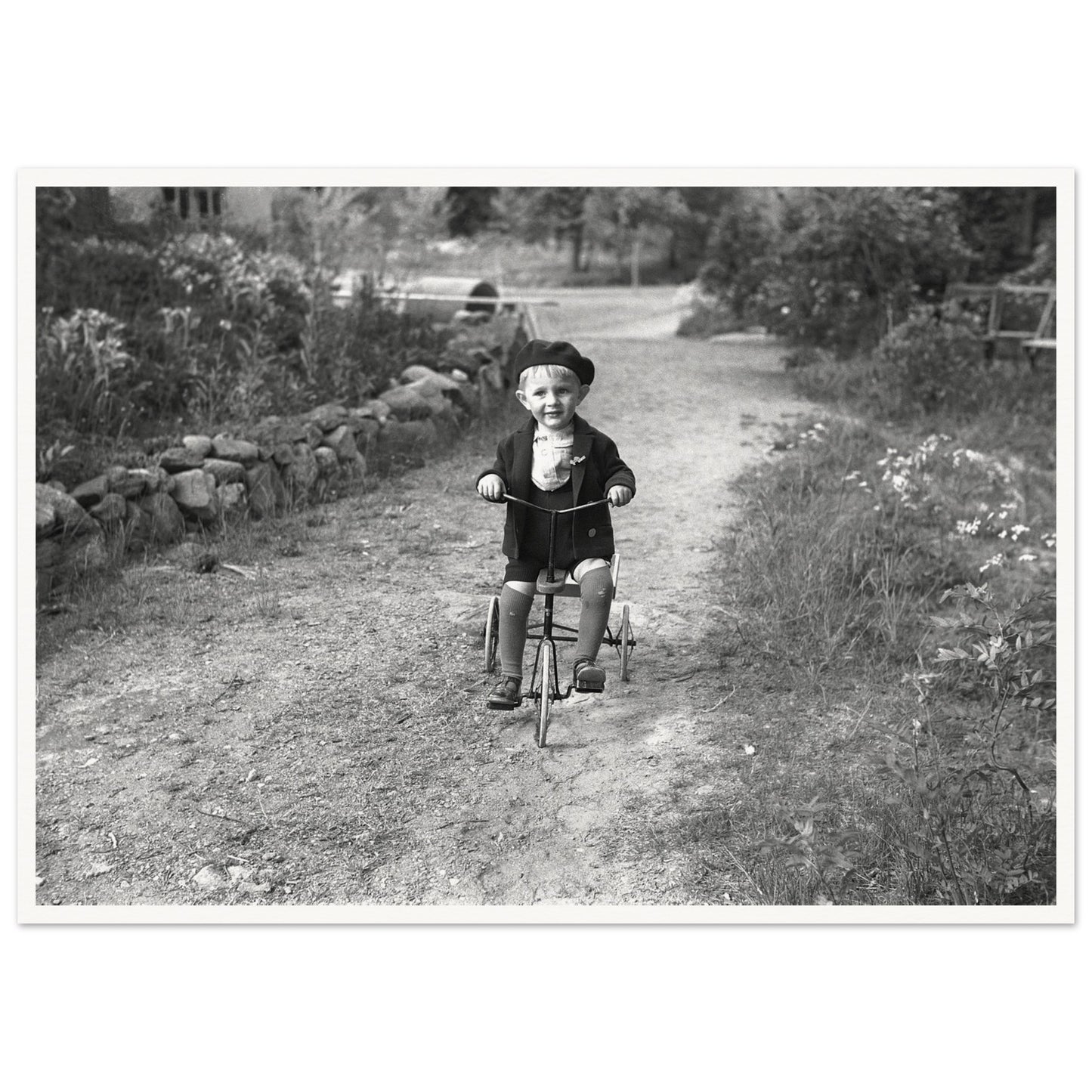 8e475f56-057f-4239-9b2c-41d2b4c4aee4