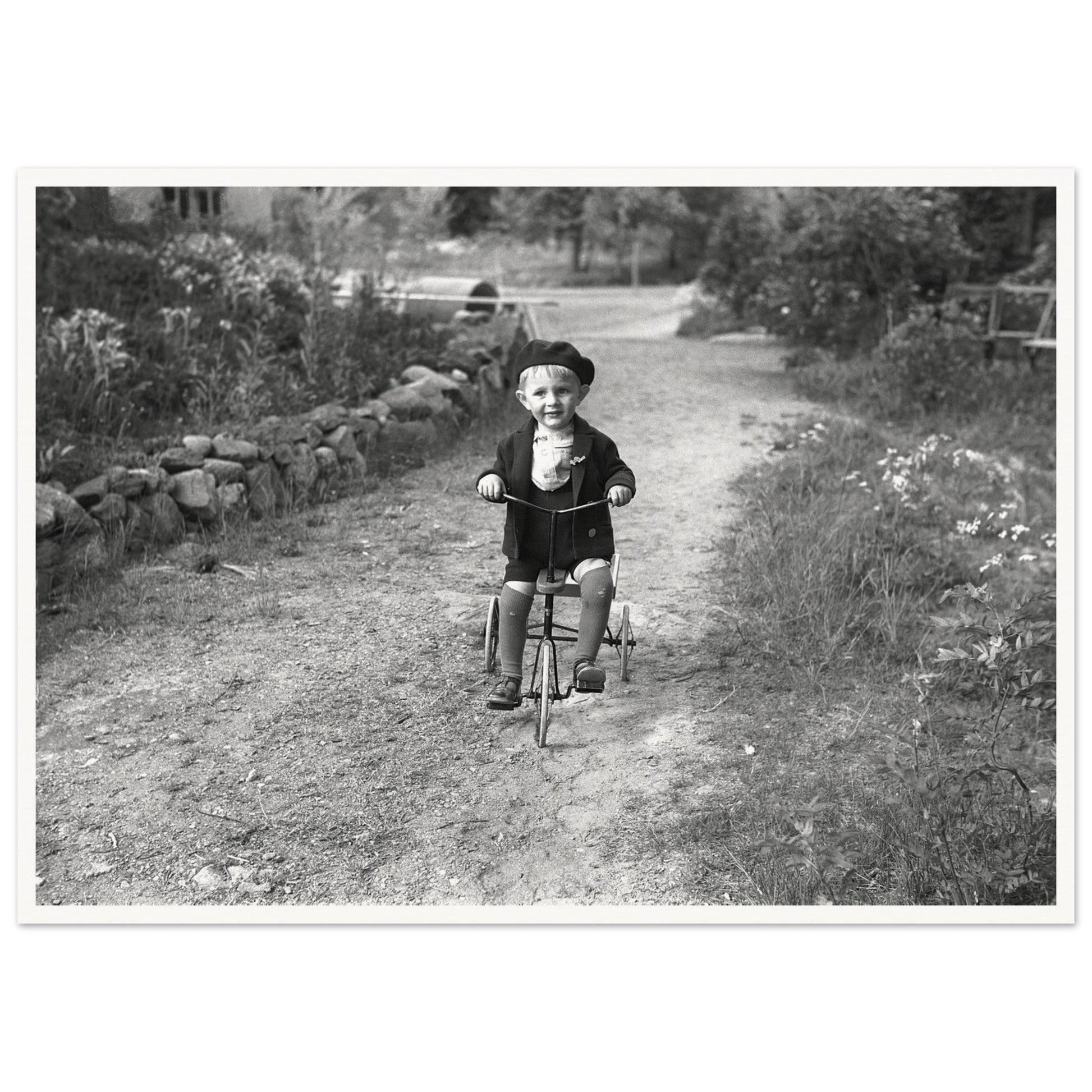 8e475f56-057f-4239-9b2c-41d2b4c4aee4