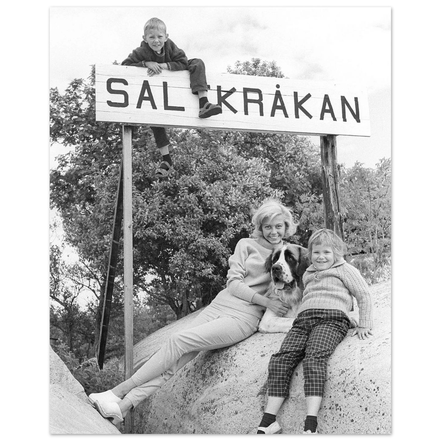 8f207284-3a33-46cf-841e-5c90ef123b1c