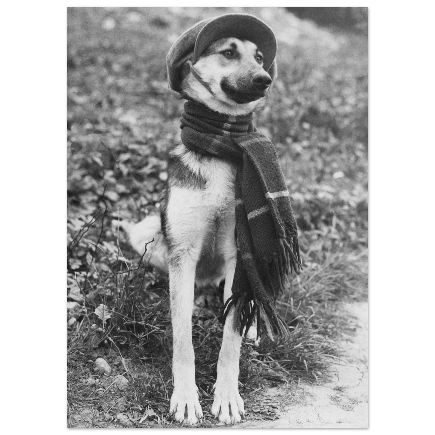 95f9dfa8-d34a-4121-b90f-57948351f7a9