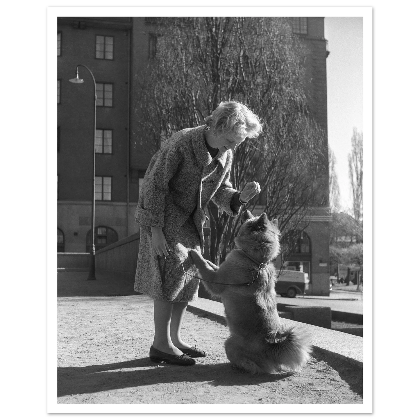 9c48405f-b937-4f21-84ec-8a4bd678a54d