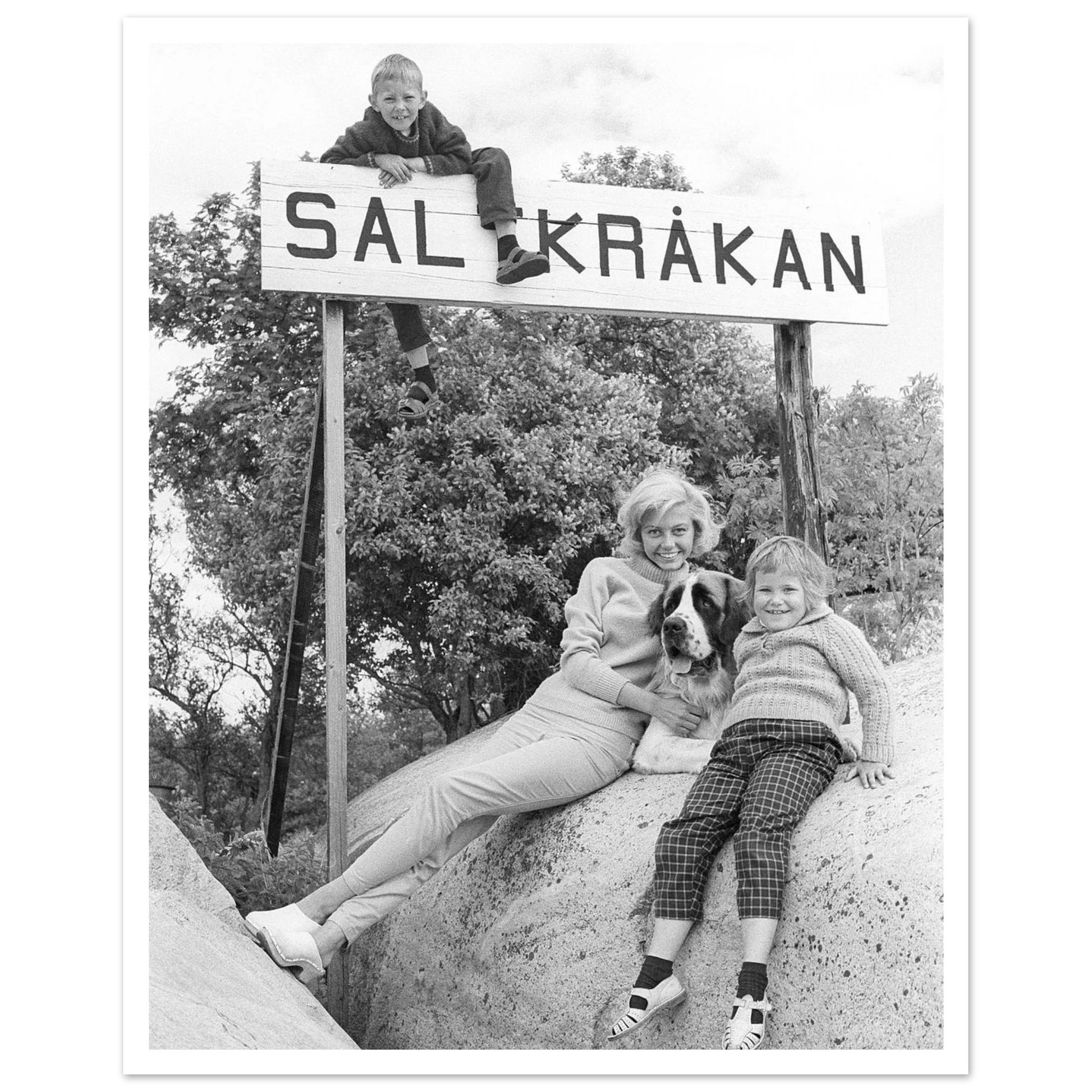 9ccbc062-337b-414e-a164-87257931a1e1