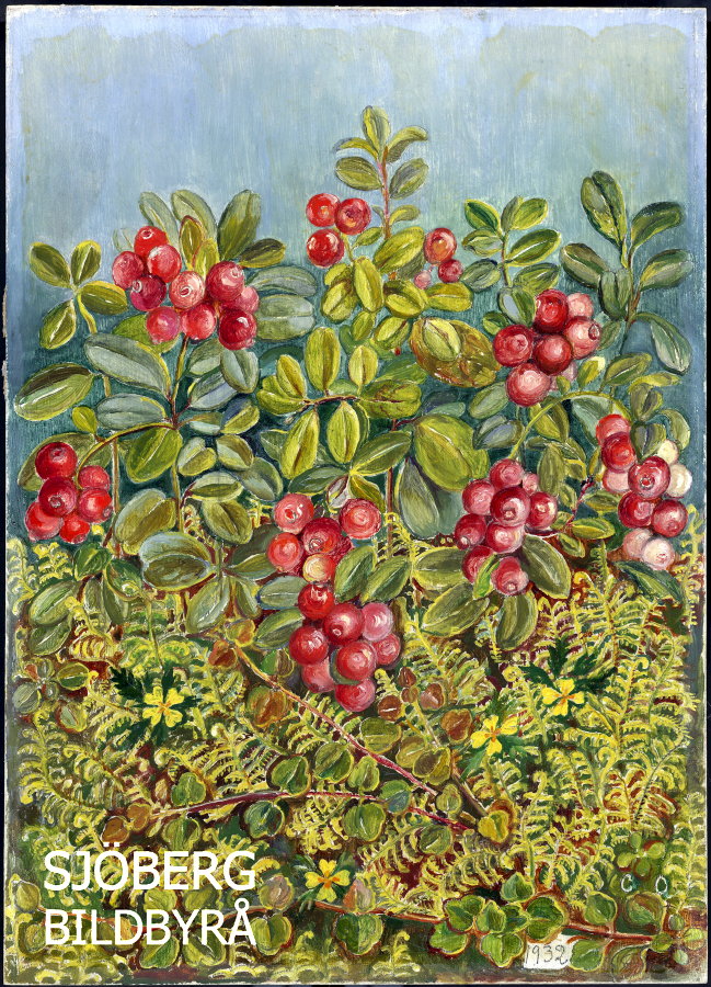 Älskade lingon - keramikmugg med färgad insida