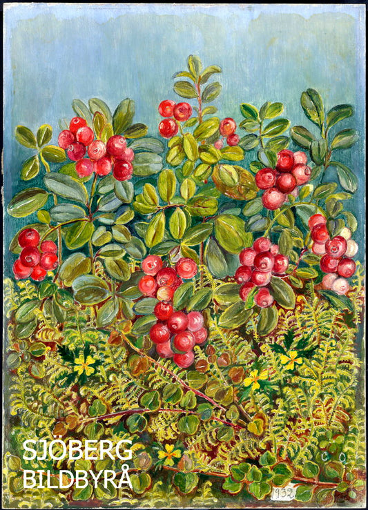 Älskade lingon - keramikmugg med färgad insida