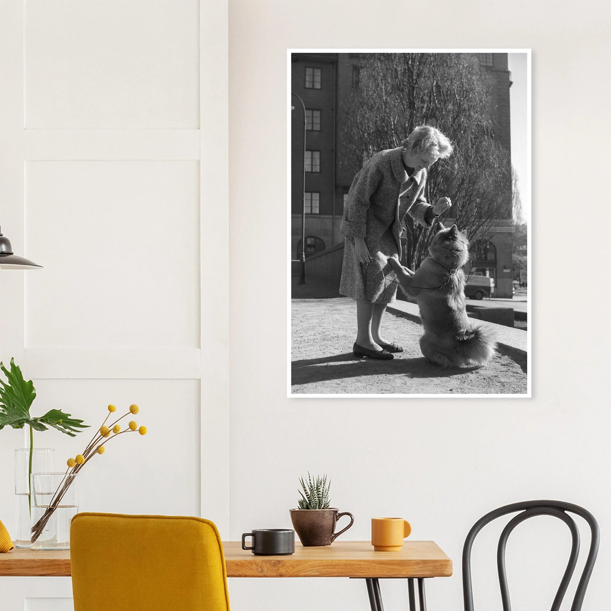 a27d0056-1be1-4ab6-84ab-33d48e6d82c8