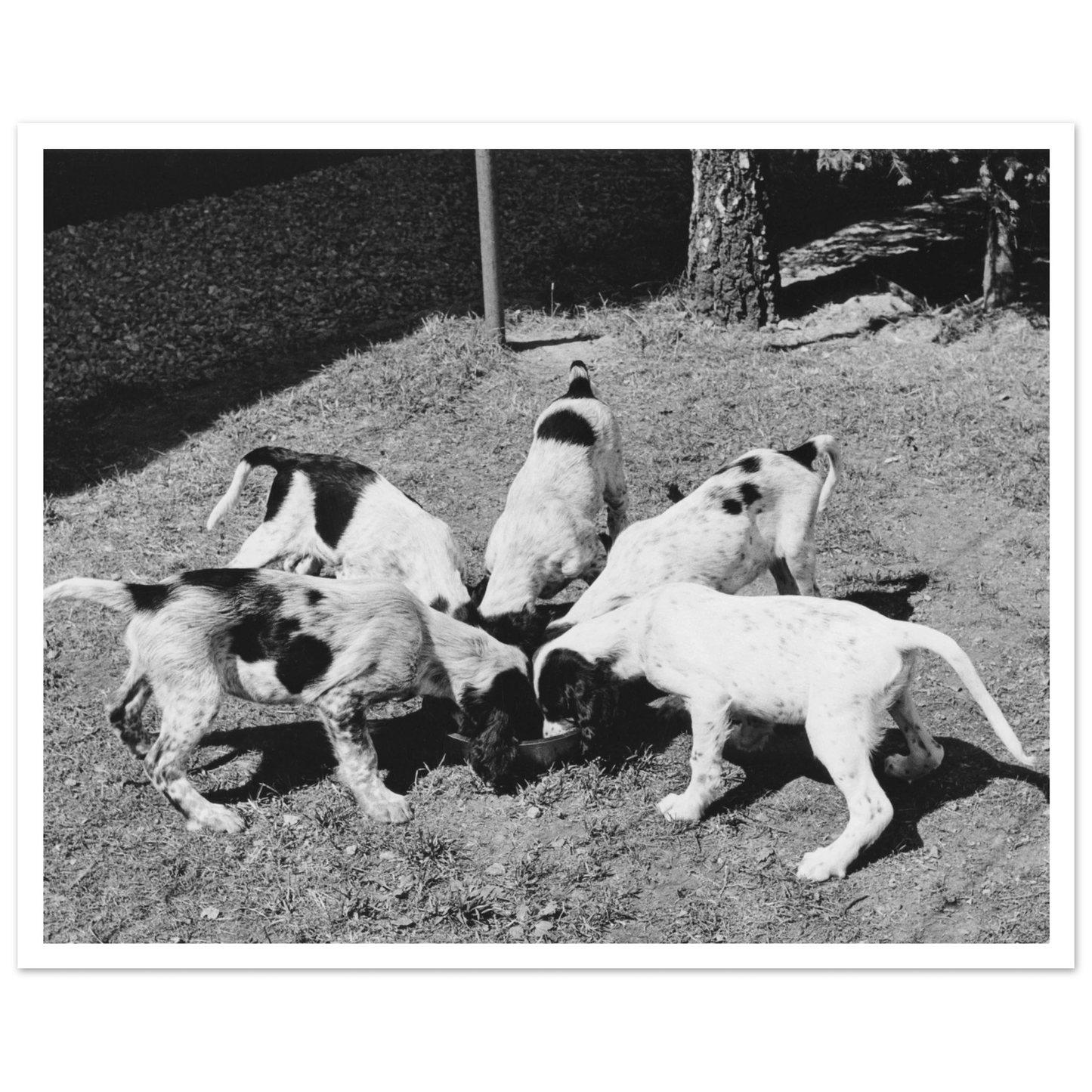 ab0268b2-74b7-46d9-ab0f-c87d6138de41