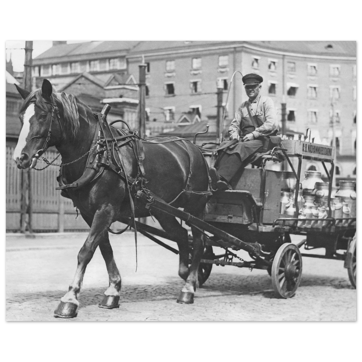 af08479b-f793-40a5-8a65-db04f52ee3eb