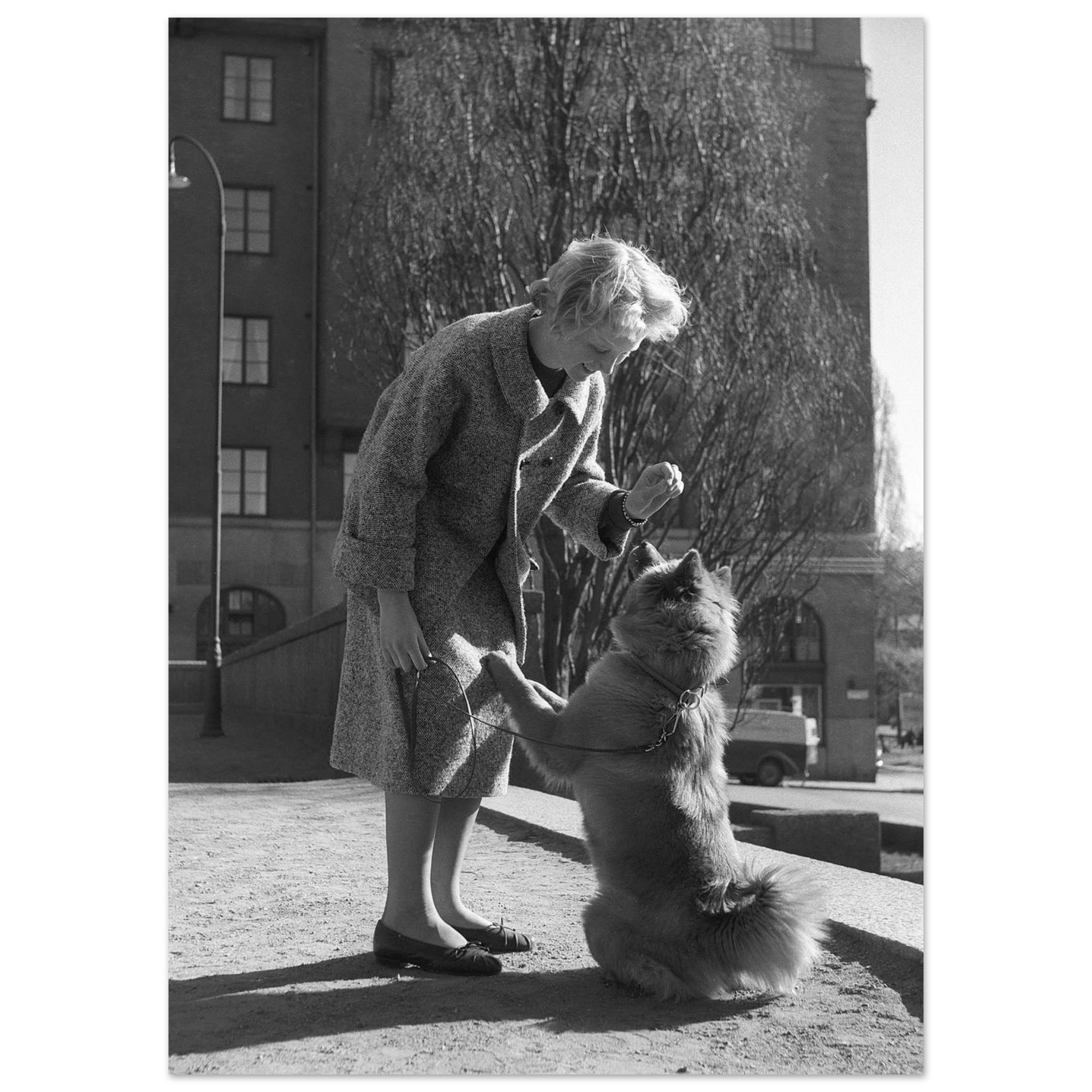 b0d62188-3766-406a-80f1-399ef1413aec