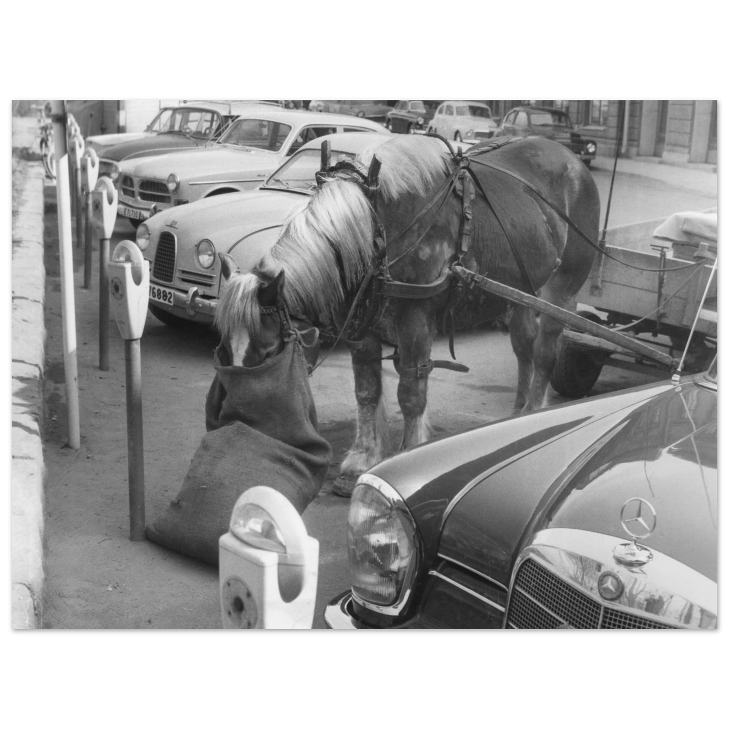 b5b05305-ff6c-497b-930c-cc756d8b5899