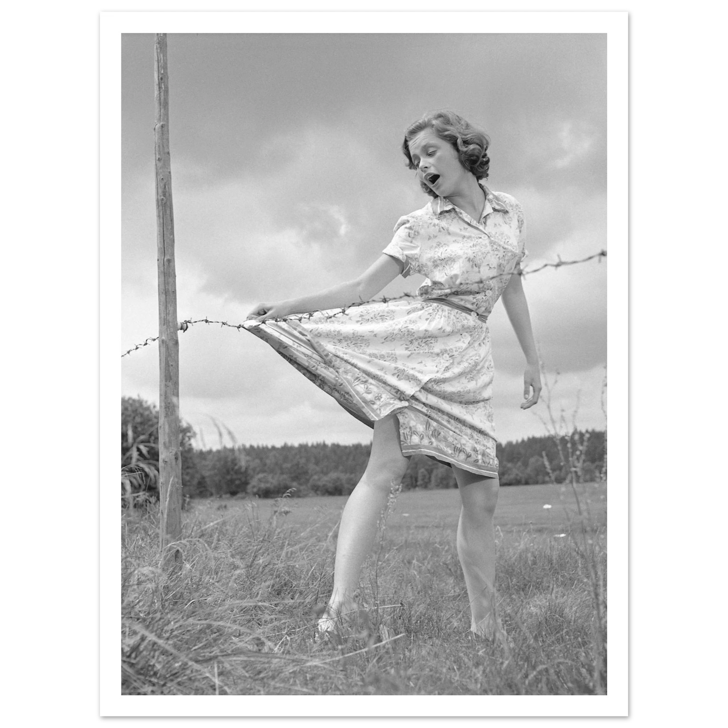 bb75c133-5f9f-4694-84a4-dc51a0da423e