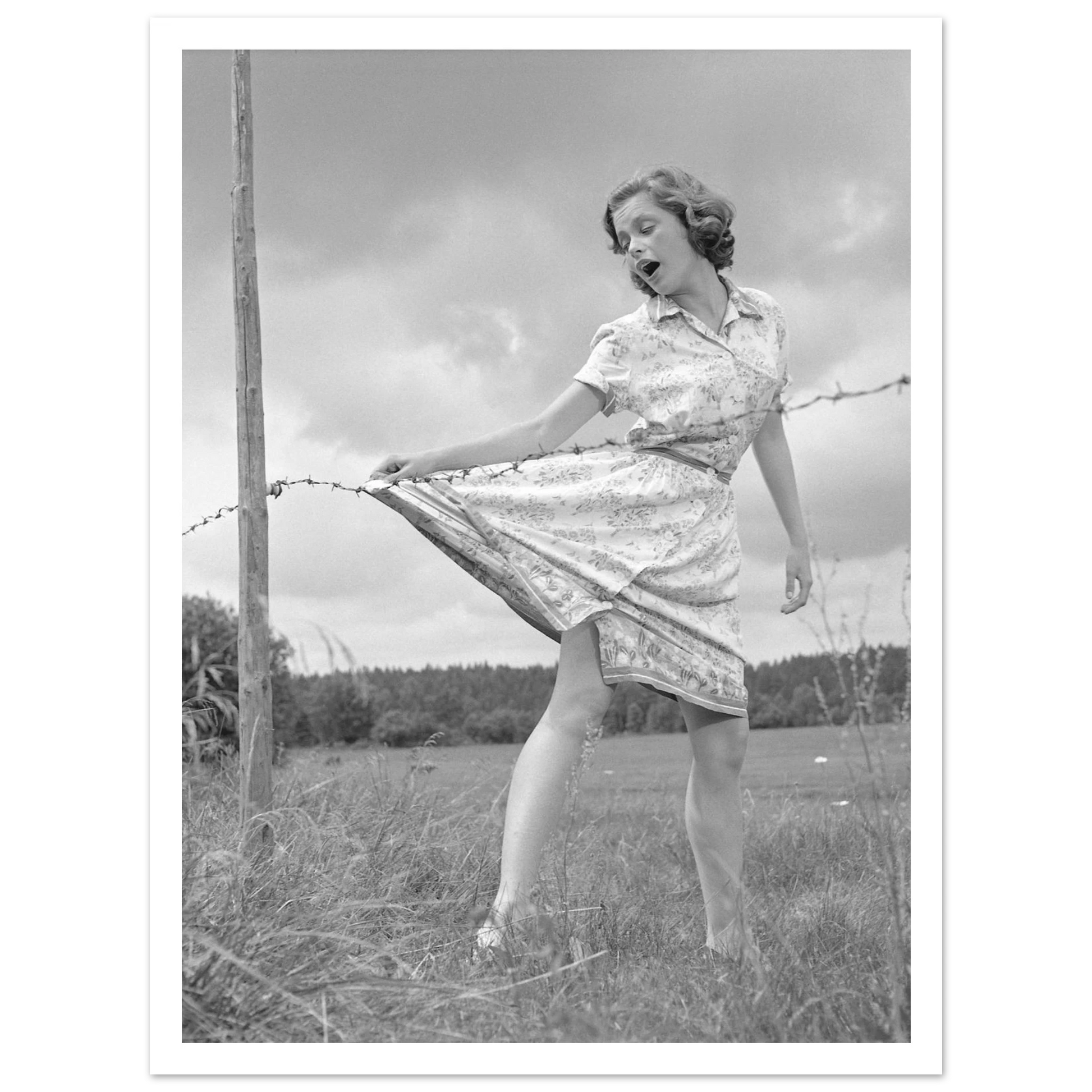 bb75c133-5f9f-4694-84a4-dc51a0da423e