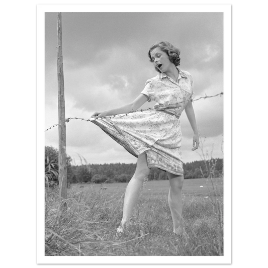 bb75c133-5f9f-4694-84a4-dc51a0da423e