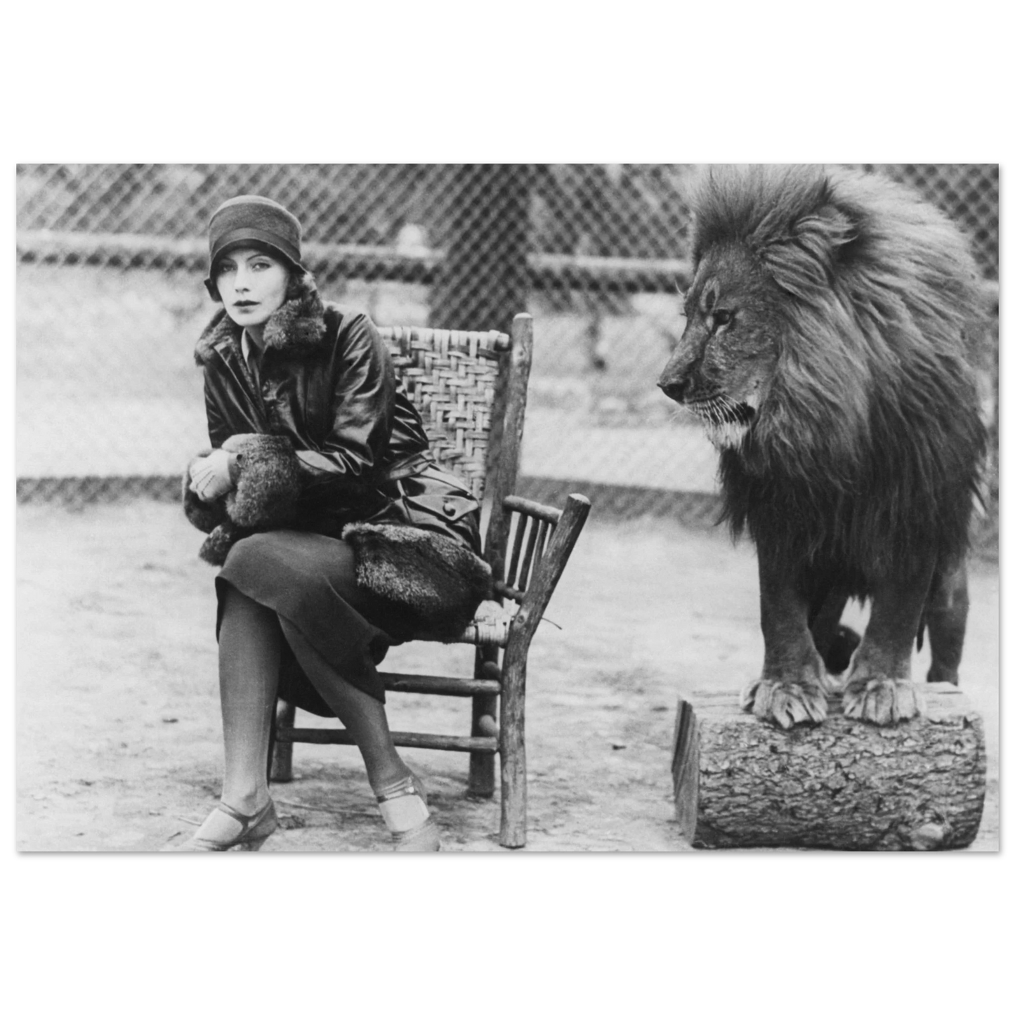 bbd136de-8902-4ce5-bcb2-d46da062534a