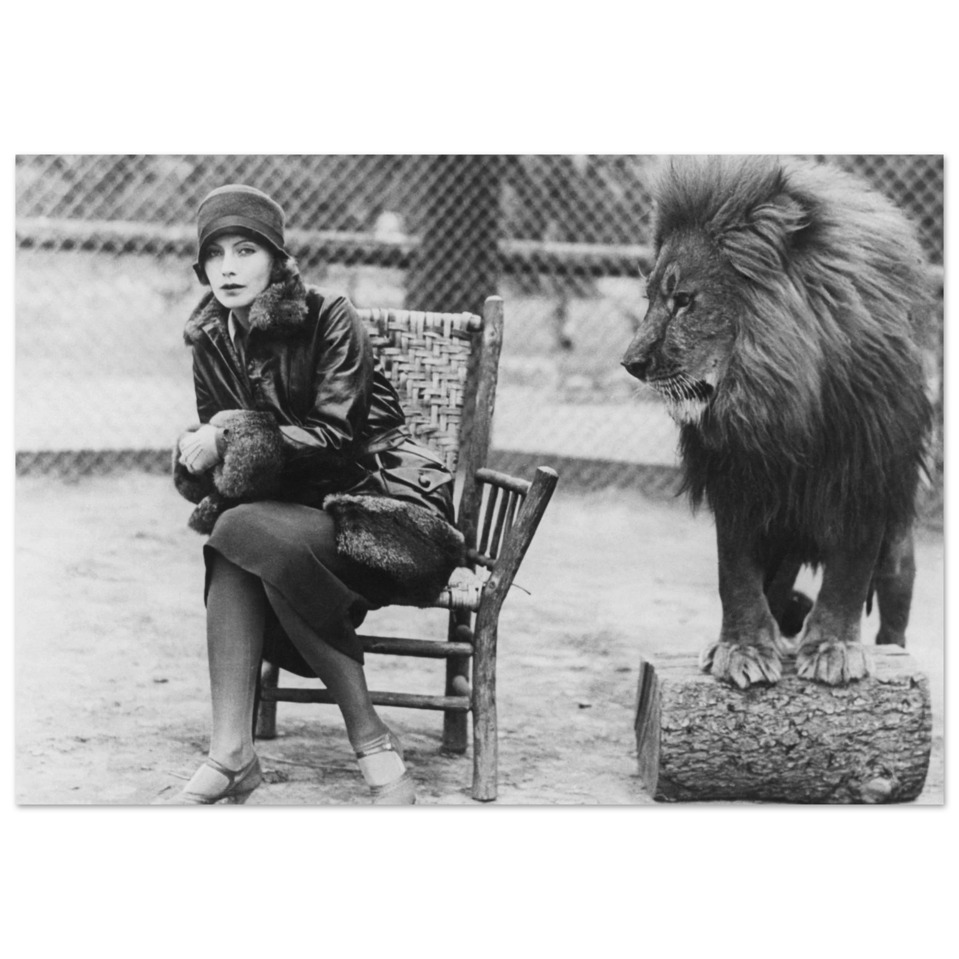 bbd136de-8902-4ce5-bcb2-d46da062534a