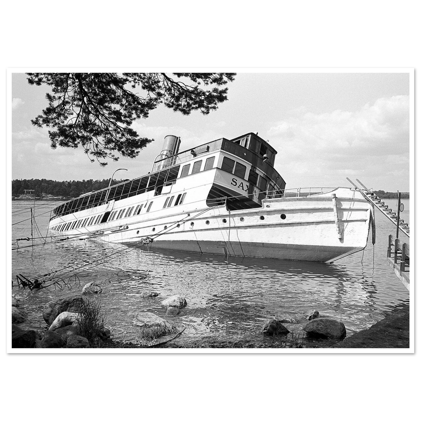 c4261305-cc06-419a-8b17-48d15d132a72