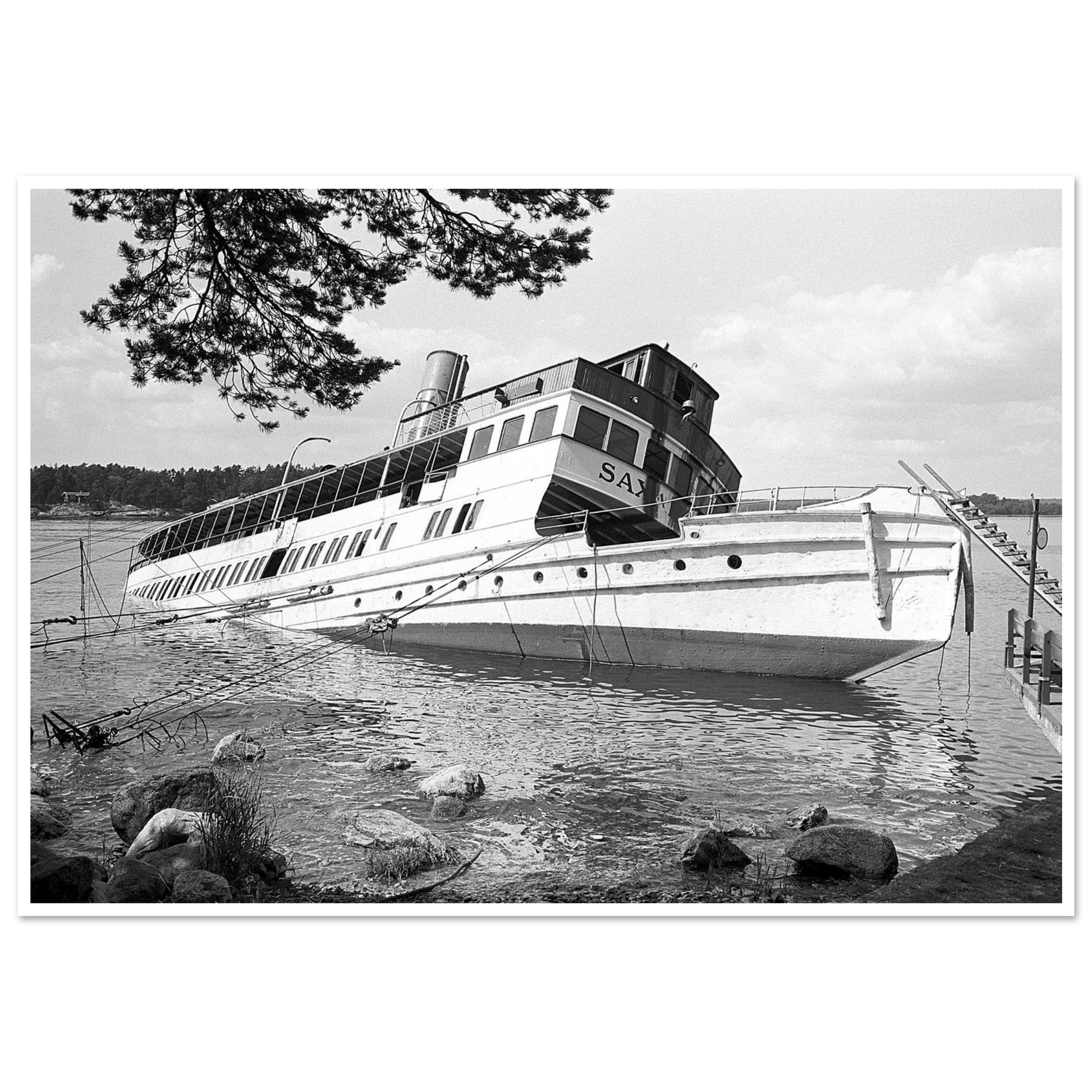 c4261305-cc06-419a-8b17-48d15d132a72