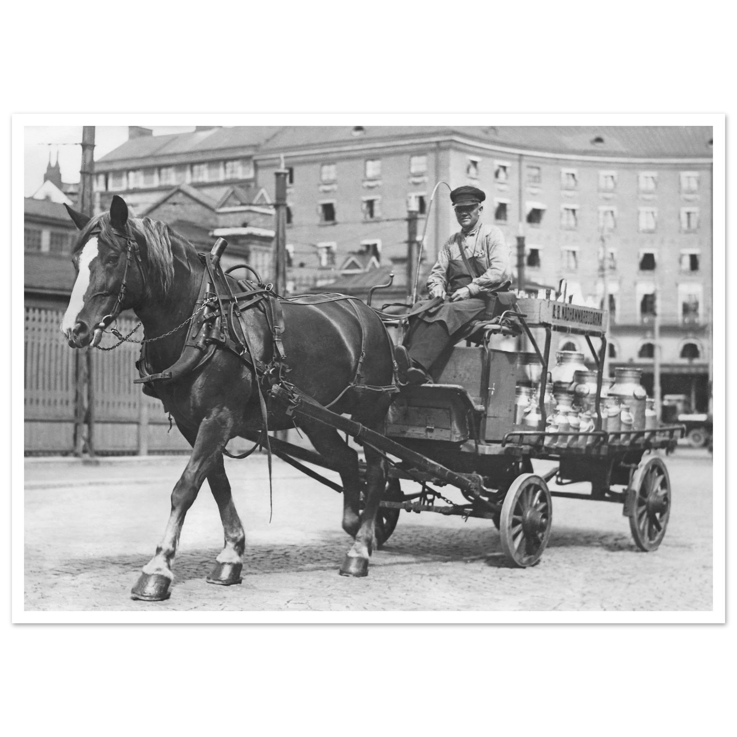 c56440eb-6cf8-4ef9-a38e-545d7cfe2d8e