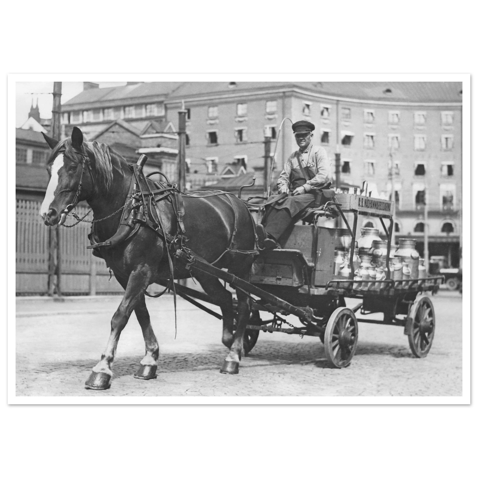 c56440eb-6cf8-4ef9-a38e-545d7cfe2d8e