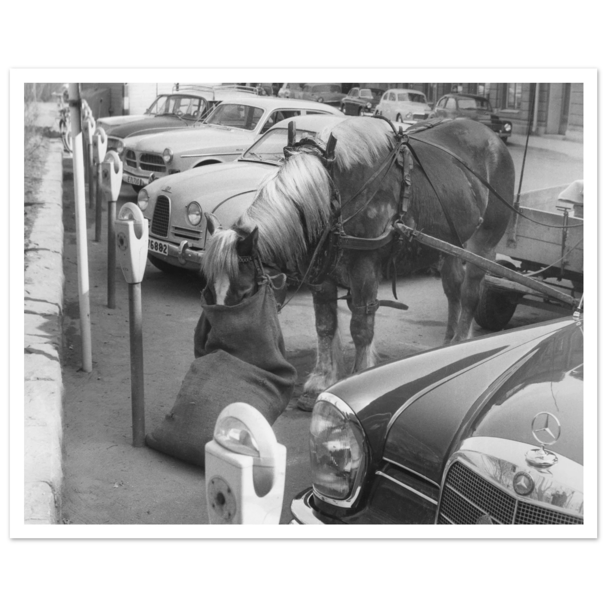 c67405ee-e301-46ab-868f-0a330b552112