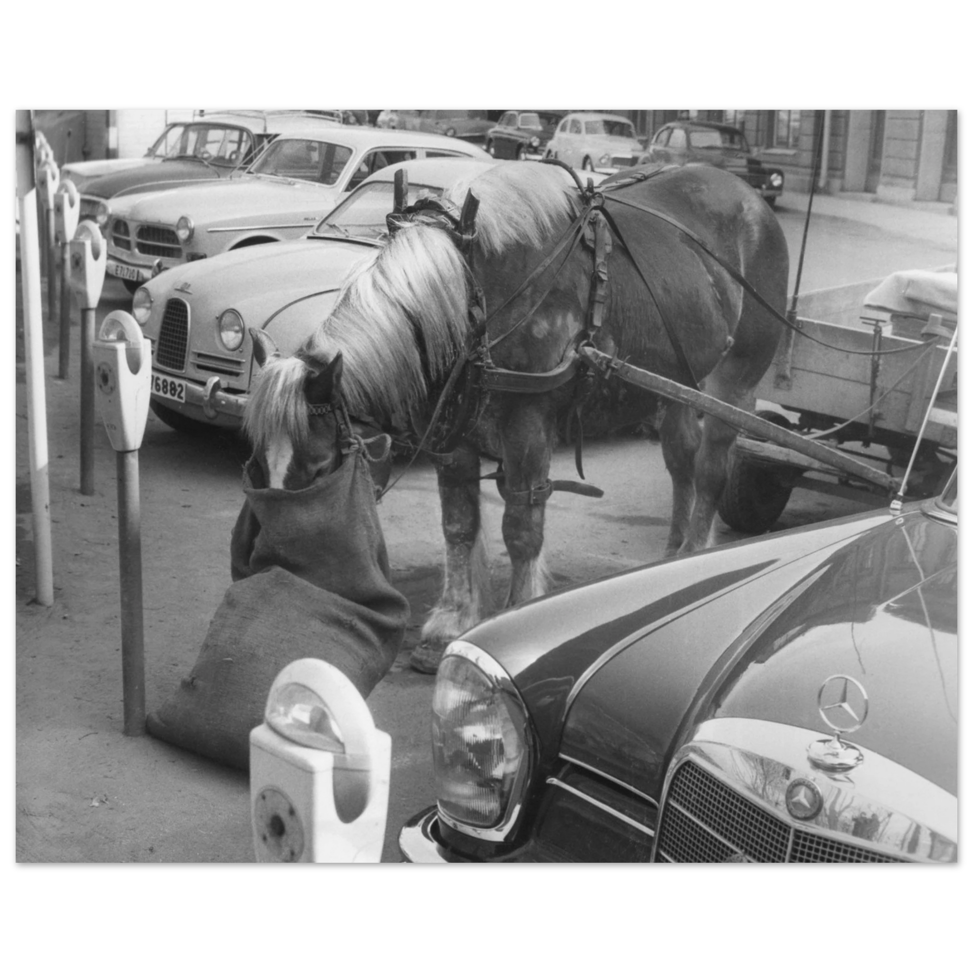 ca822cbf-7e7a-4ecc-a020-042662e6134e