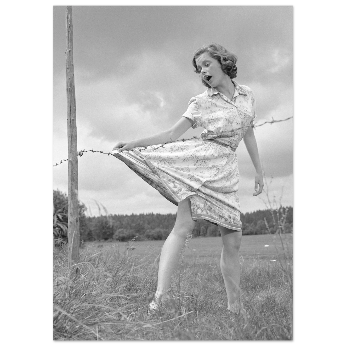 d1b752ee-5b2e-4a32-9bee-f5bbdd7e56cb