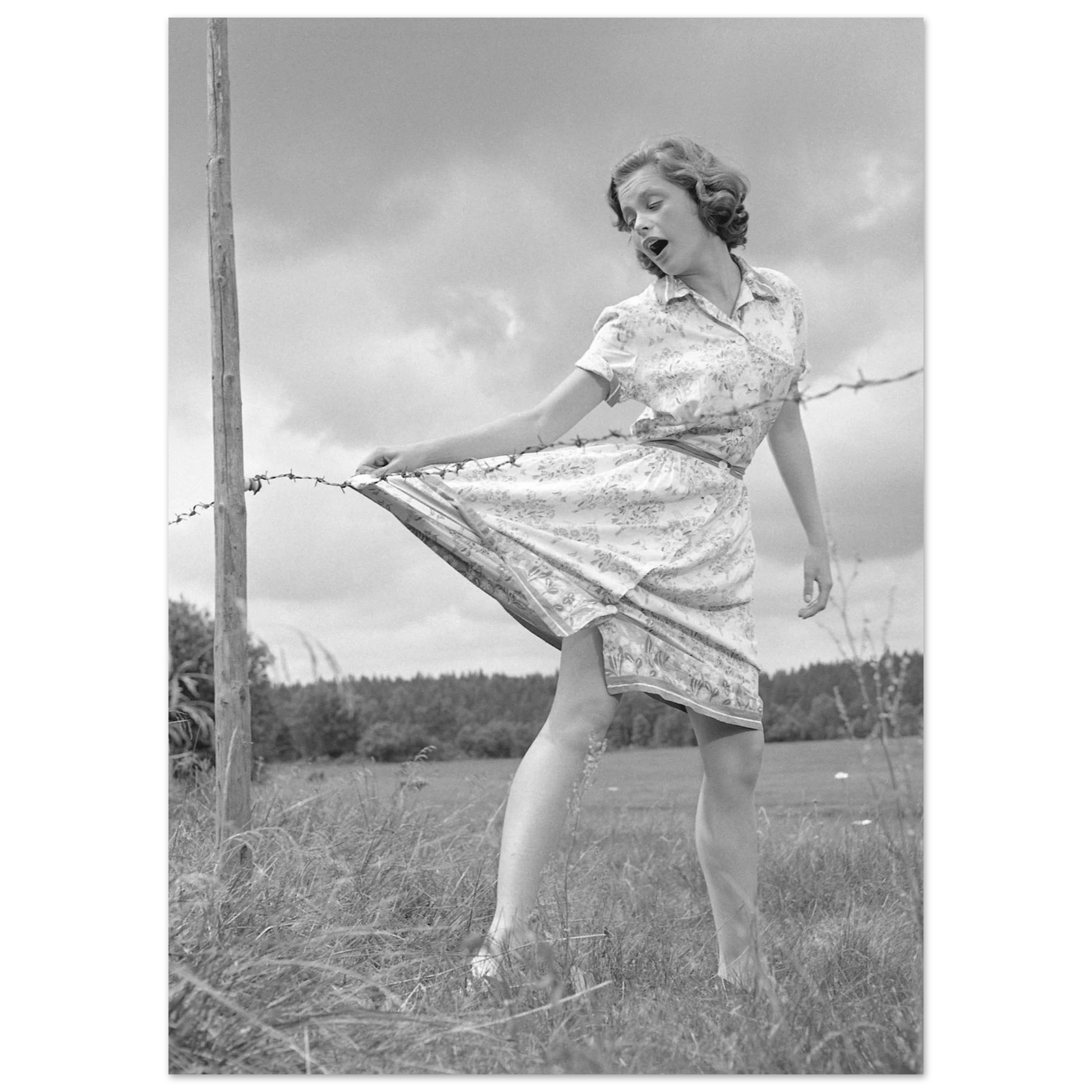 d1b752ee-5b2e-4a32-9bee-f5bbdd7e56cb