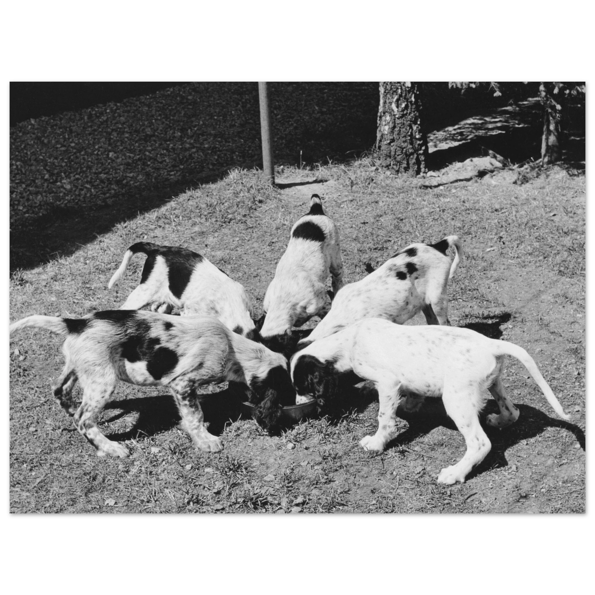 d6b9cb19-ccaf-416d-bd91-b1c653e0e5f8