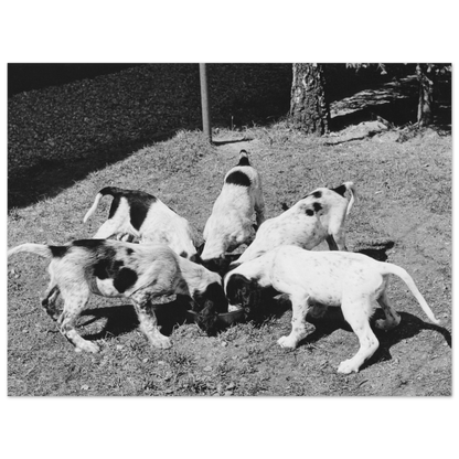 d6b9cb19-ccaf-416d-bd91-b1c653e0e5f8