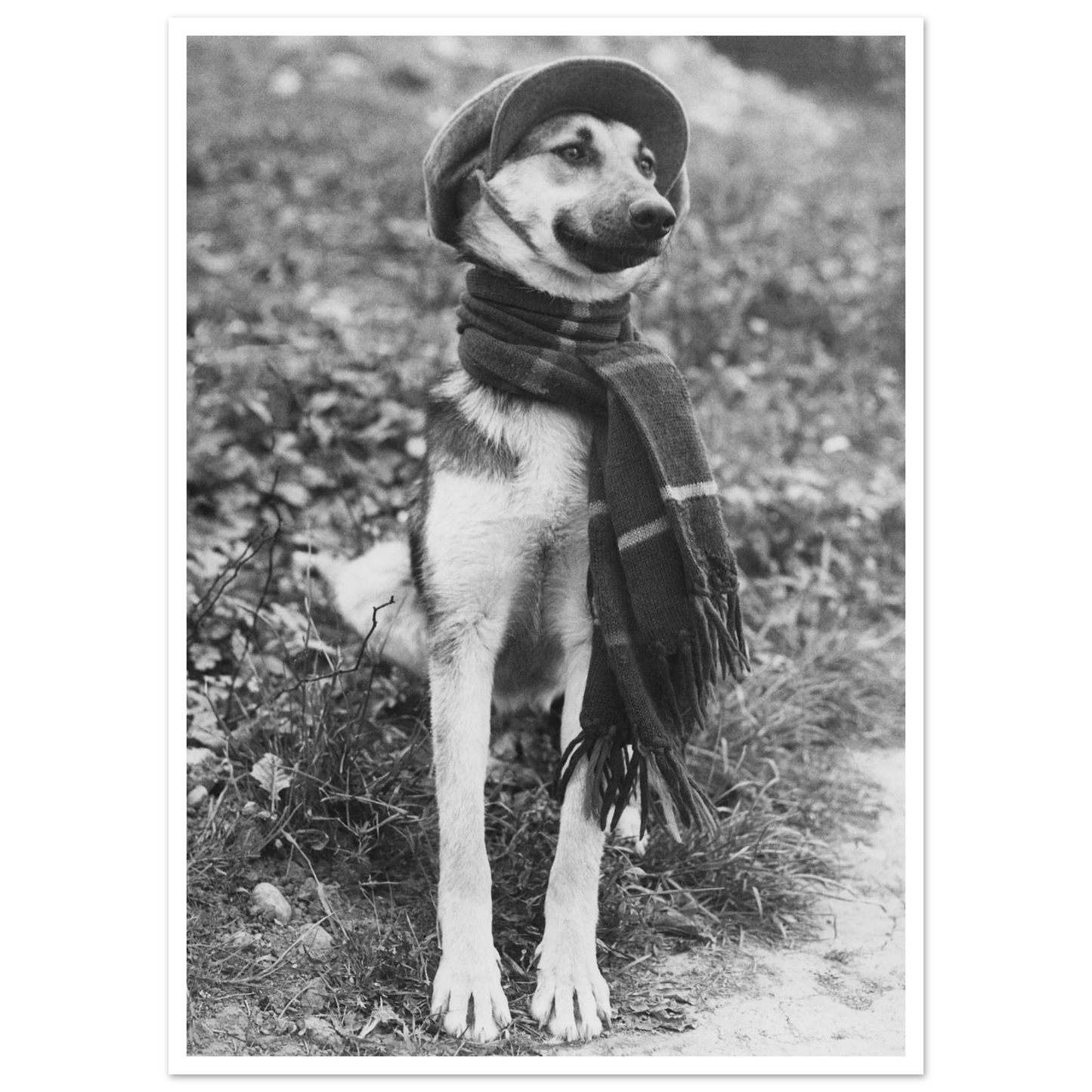 e087479f-4774-4da2-83aa-75dc01eaf88b