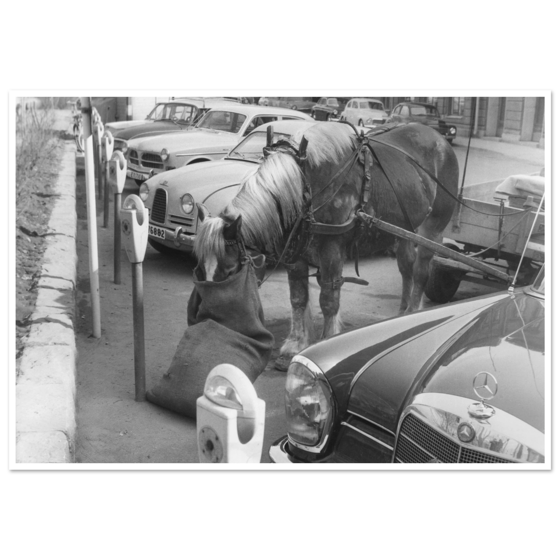 e0ef7b92-b704-45c7-8351-7cb4ff4d04e7