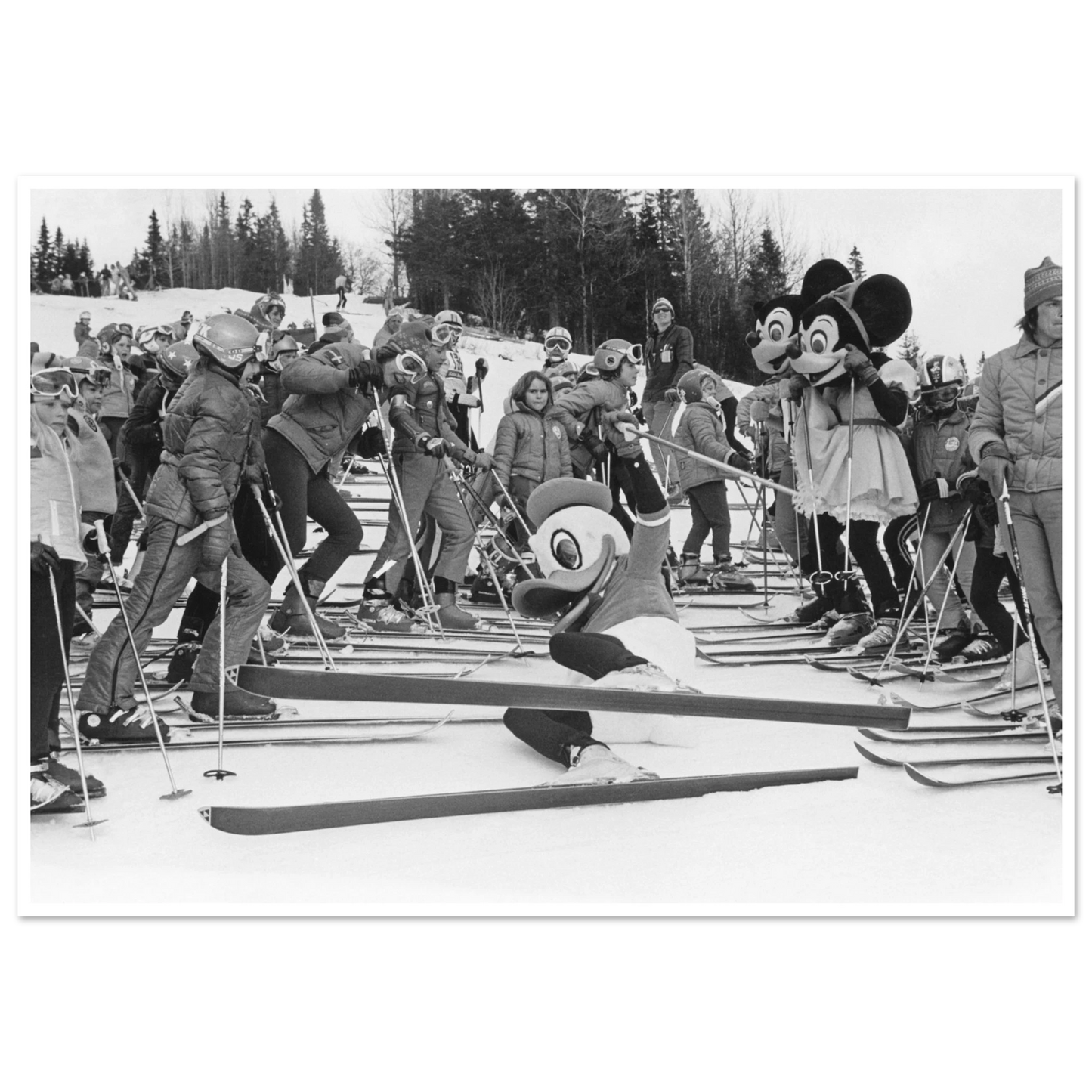 e12b9613-7a5d-4afa-bae2-984c6267f68b