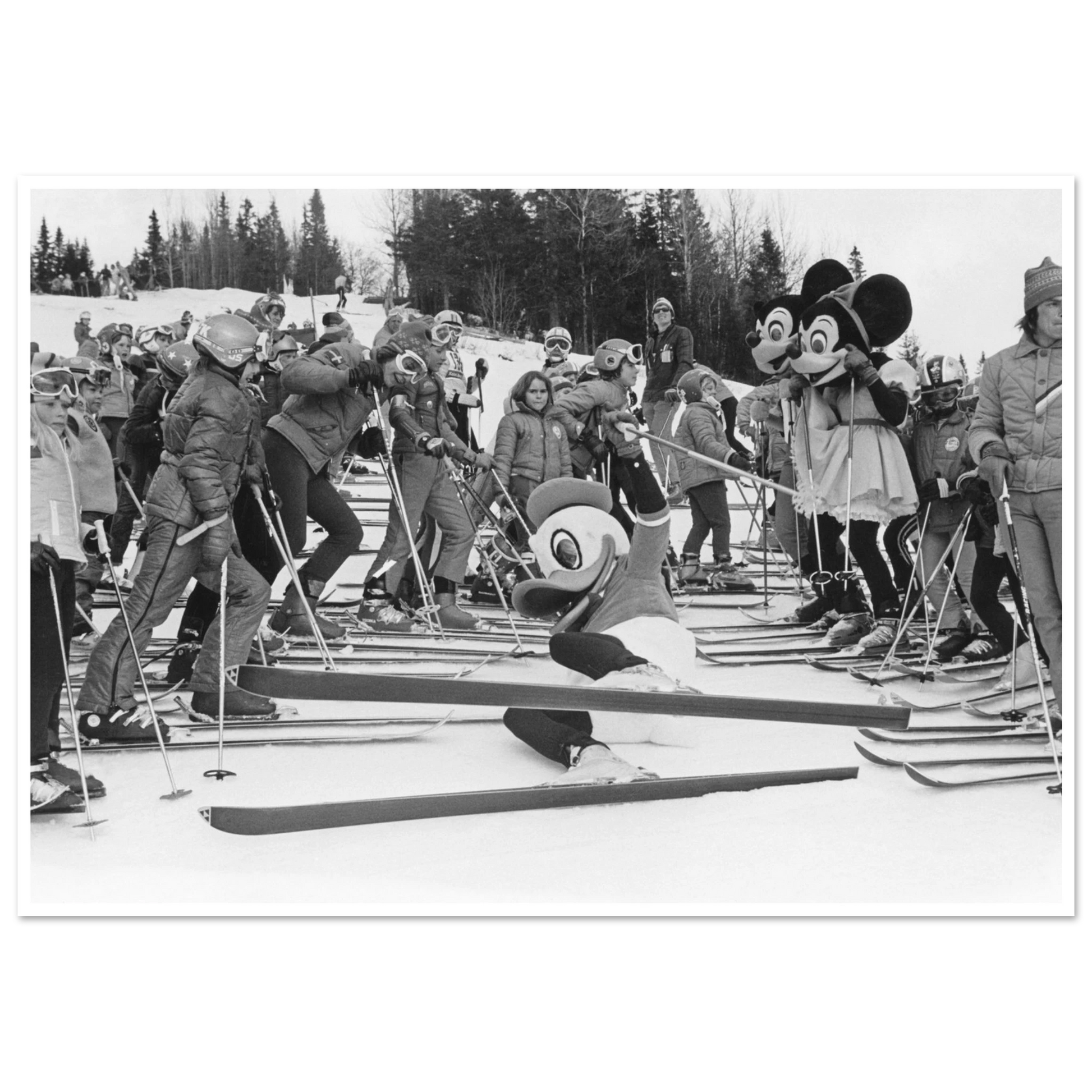 e12b9613-7a5d-4afa-bae2-984c6267f68b