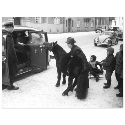 f69e05b5-e309-487b-8cae-fbd5241c4b66