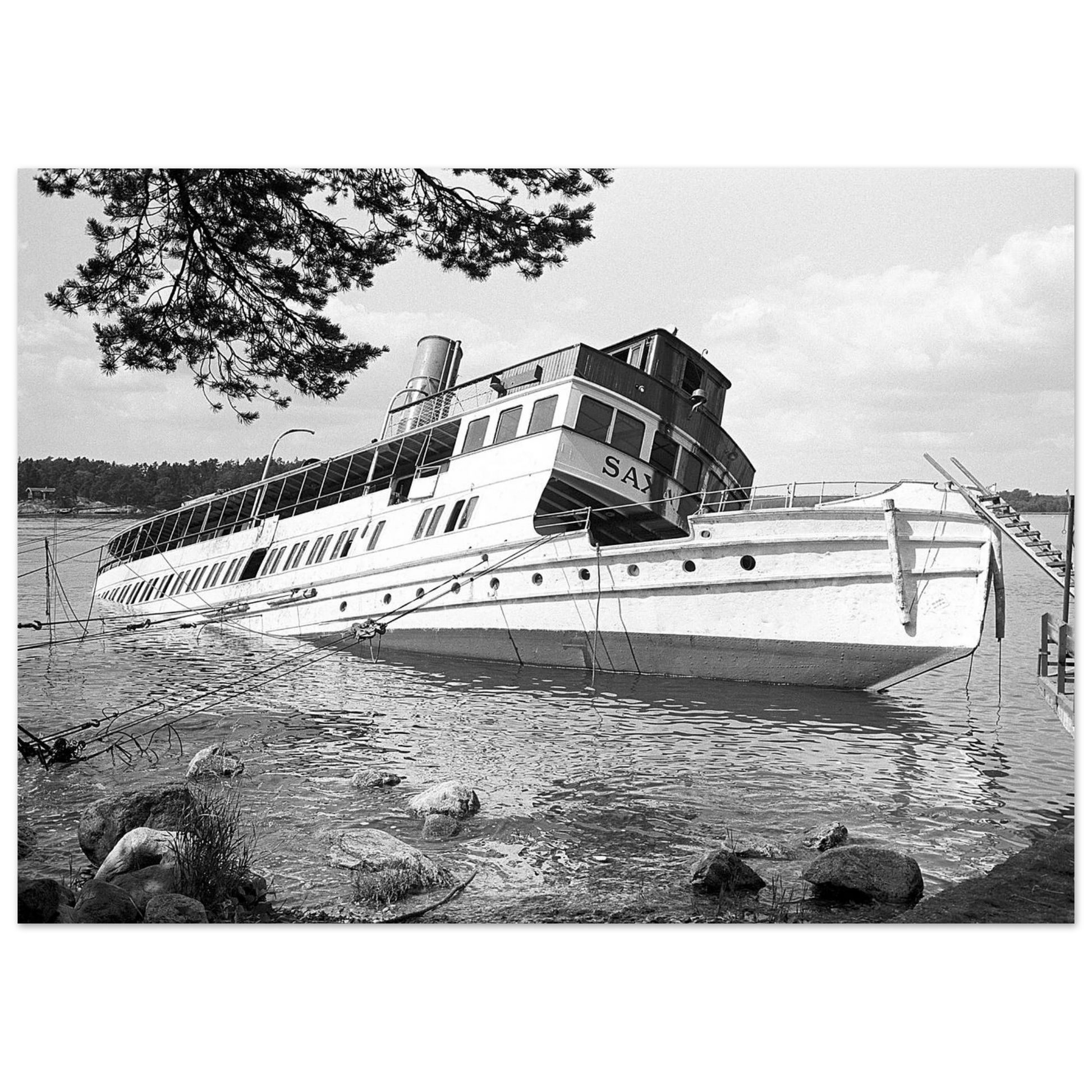 f856aaac-2a39-4d2c-9ce3-bd957524ee12